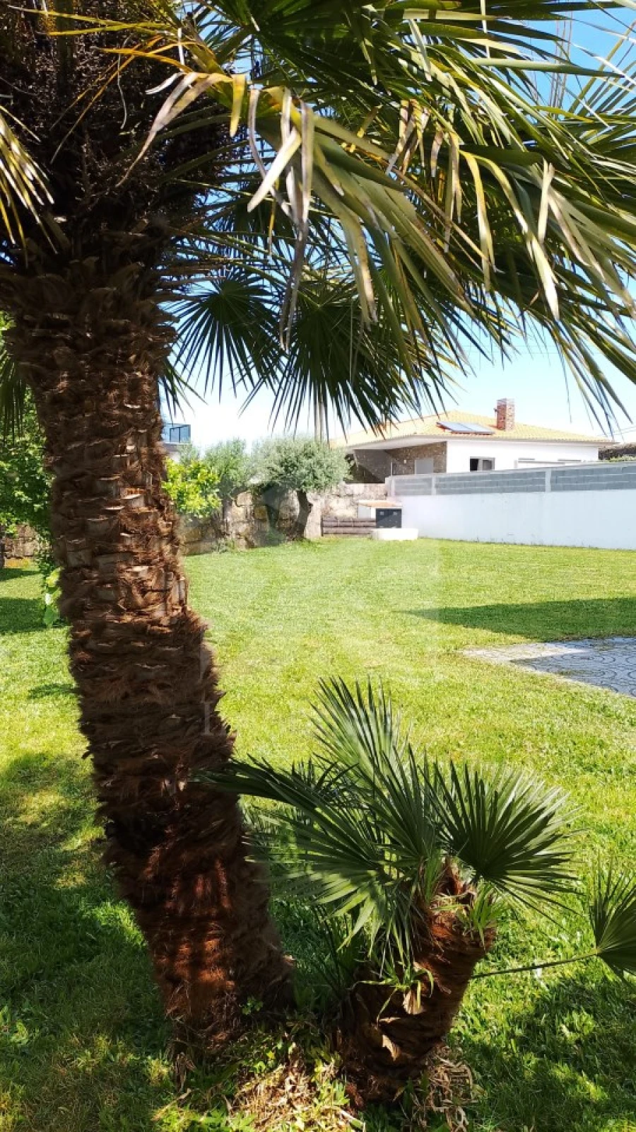 Moradia T3 para Venda em Antas Foto 8