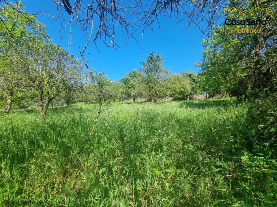 Quinta T3 para Venda em Cabeçudo Foto 5