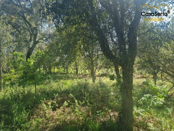 Quinta T3 para Venda em Cabeçudo Foto 10