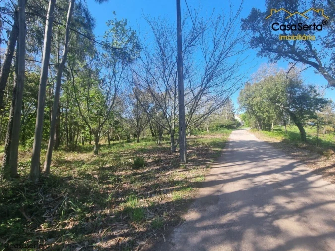 Quinta T3 para Venda em Cabeçudo Foto 9