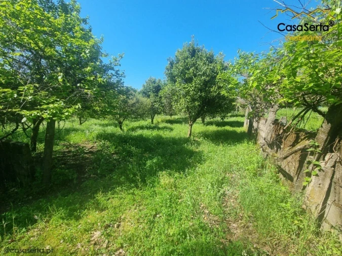 Quinta T3 para Venda em Cabeçudo Foto 8