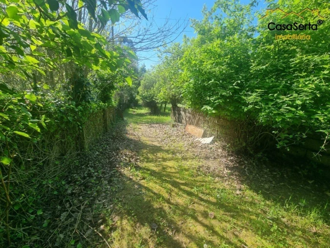 Quinta T3 para Venda em Cabeçudo Foto 6