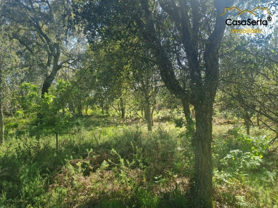 Quinta T3 para Venda em Cabeçudo Foto 10