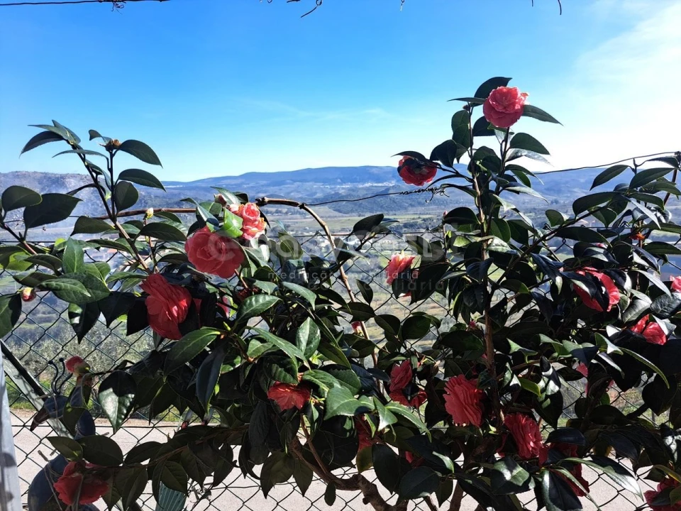 Moradia T4 para Venda em Horta da Vilariça Foto 21