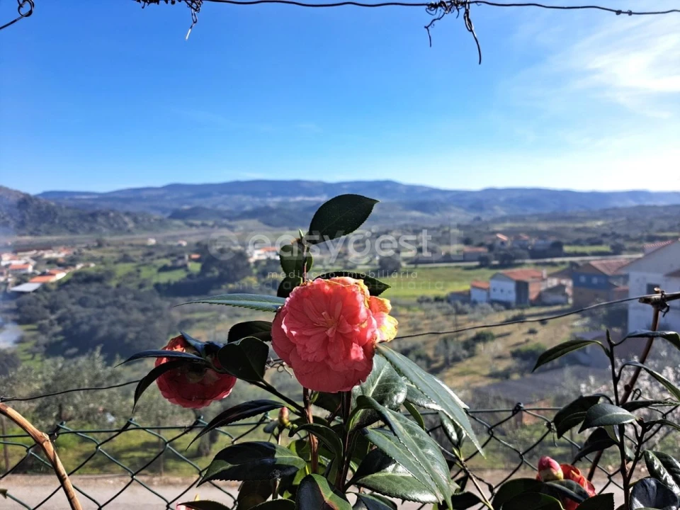 Moradia T4 para Venda em Horta da Vilariça Foto 22