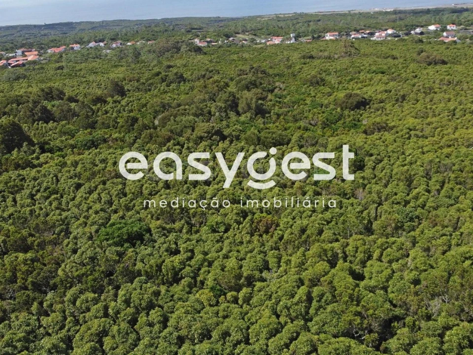 Terreno para Venda em Bandeiras Foto 2