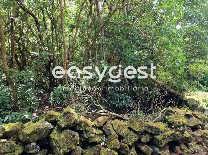 Terreno para Venda em Bandeiras Foto 7