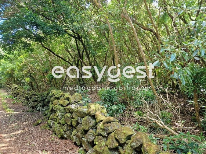 Terreno para Venda em Bandeiras Foto 14