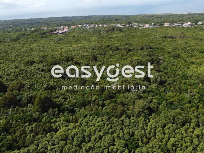 Terreno para Venda em Bandeiras Foto 17