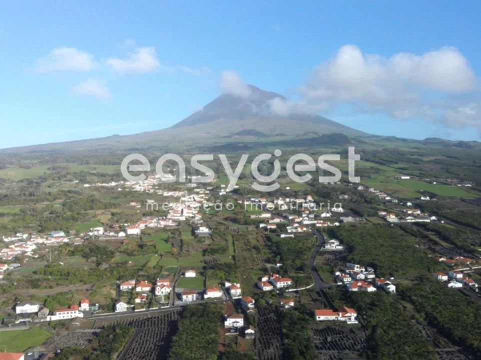 Terreno Agricola ou Rústico para Venda em Criação Velha Foto 2