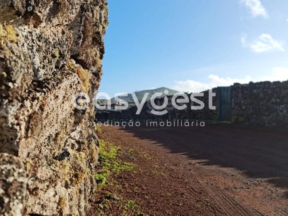 Terreno Agricola ou Rústico para Venda em Criação Velha Foto 3