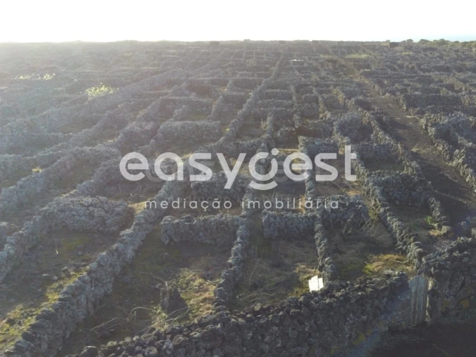 Terreno Agricola ou Rústico para Venda em Criação Velha Foto 4