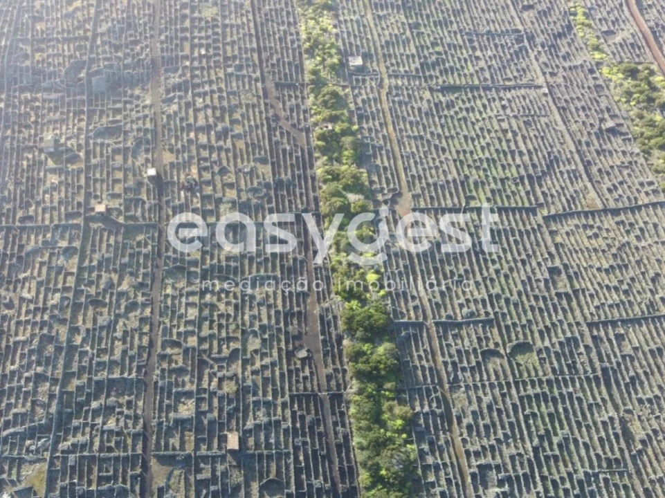 Terreno Agricola ou Rústico para Venda em Criação Velha Foto 5