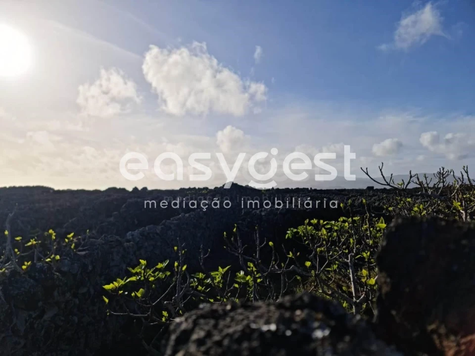 Terreno Agricola ou Rústico para Venda em Criação Velha Foto 10