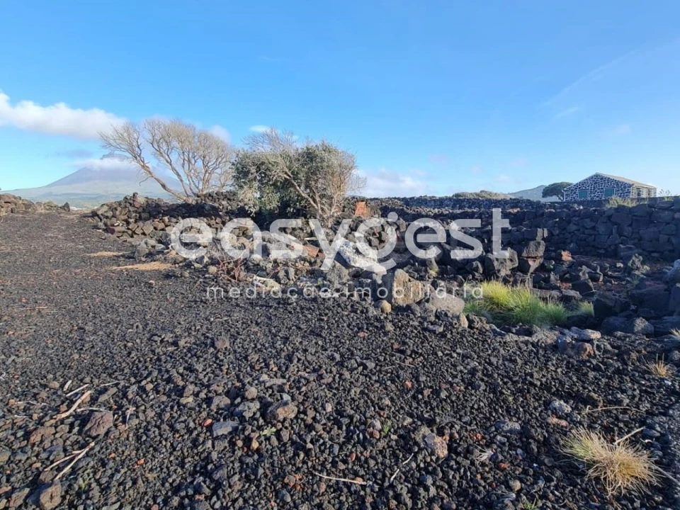 Terreno Agricola ou Rústico para Venda em Criação Velha Foto 13