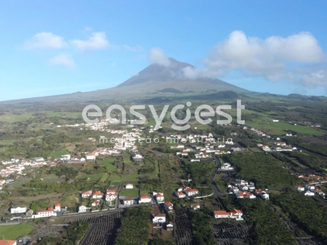 Terreno Agricola ou Rústico para Venda em Criação Velha Foto 2