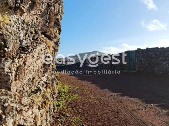 Terreno Agricola ou Rústico para Venda em Criação Velha Foto 3
