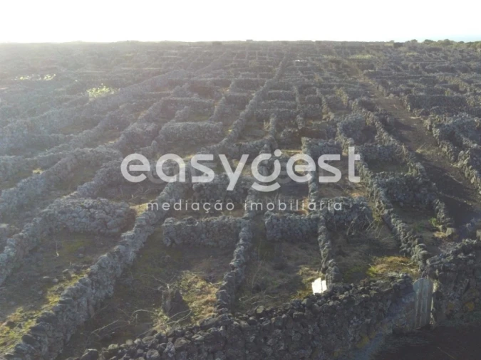 Terreno Agricola ou Rústico para Venda em Criação Velha Foto 4