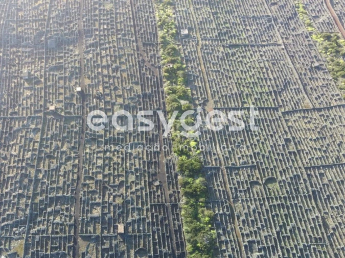Terreno Agricola ou Rústico para Venda em Criação Velha Foto 5
