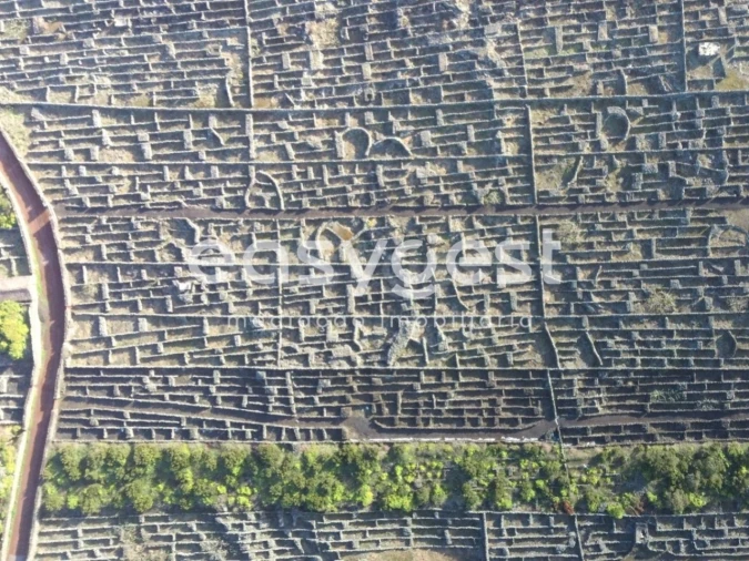 Terreno Agricola ou Rústico para Venda em Criação Velha Foto 8
