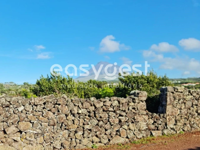 Terreno Agricola ou Rústico para Venda em Criação Velha Foto 11