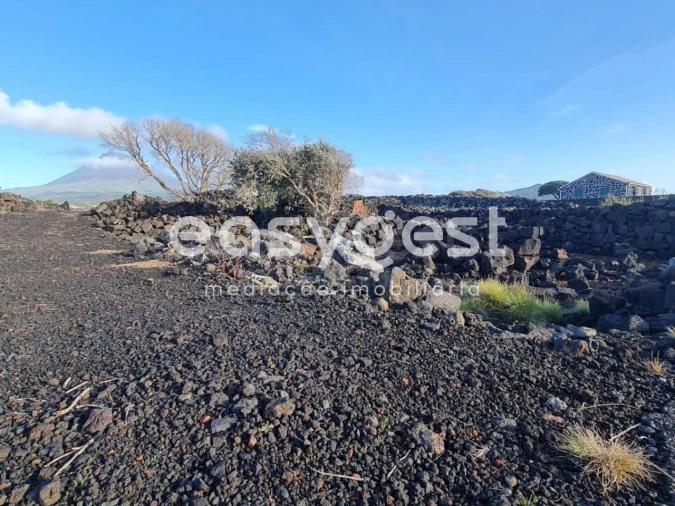 Terreno Agricola ou Rústico para Venda em Criação Velha Foto 13