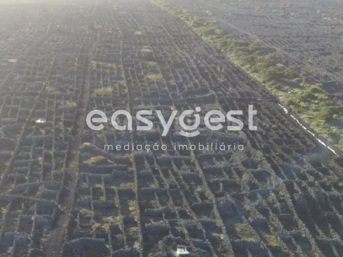 Terreno Agricola ou Rústico para Venda em Criação Velha Foto 18