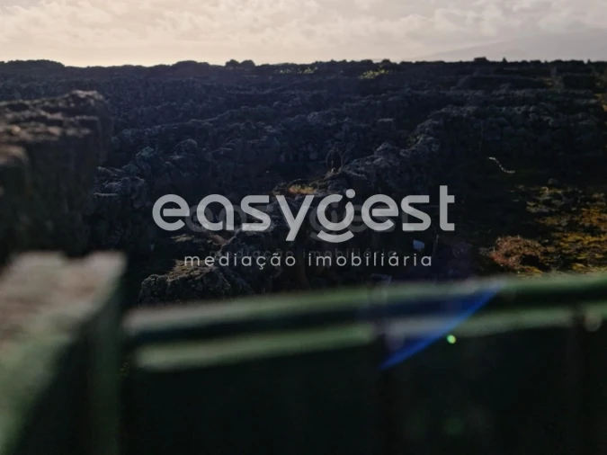 Terreno Agricola ou Rústico para Venda em Criação Velha Foto 19