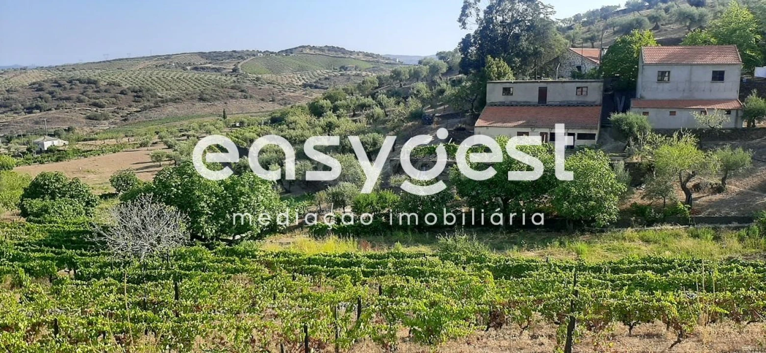 Quinta T2 para Venda em Torre de Moncorvo Foto 1