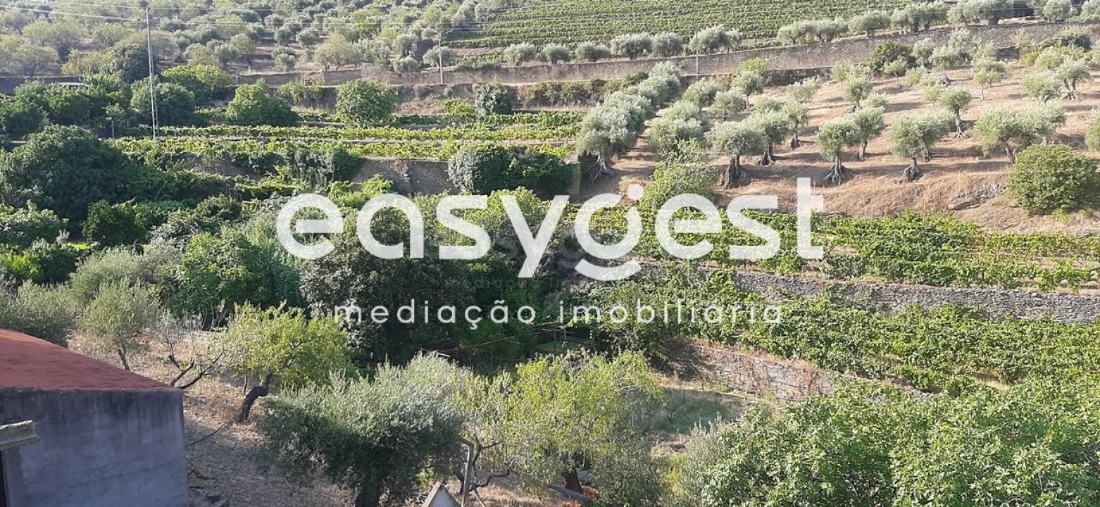 Quinta T2 para Venda em Torre de Moncorvo Foto 17