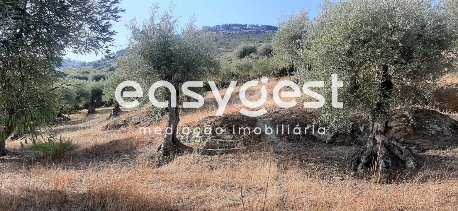 Quinta T2 para Venda em Torre de Moncorvo Foto 23