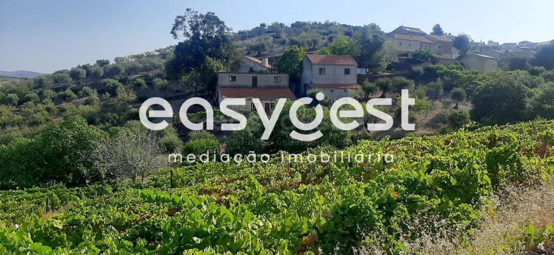 Quinta T2 para Venda em Torre de Moncorvo Foto 10