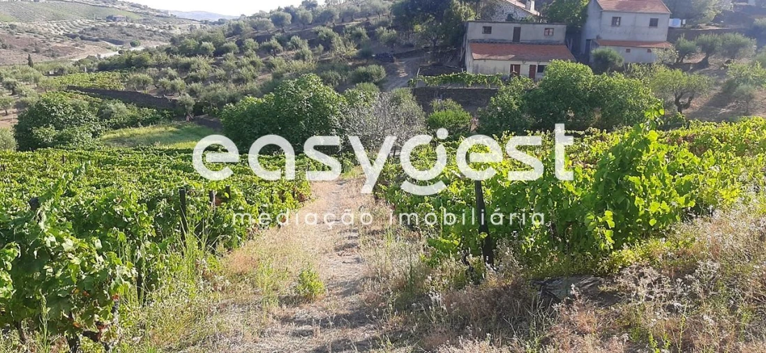 Quinta T2 para Venda em Torre de Moncorvo Foto 11