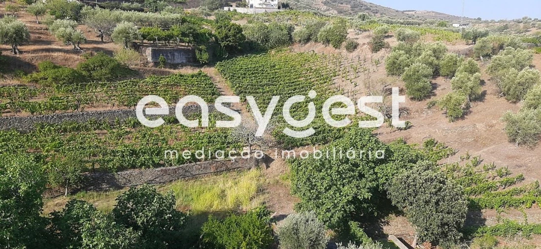 Quinta T2 para Venda em Torre de Moncorvo Foto 16