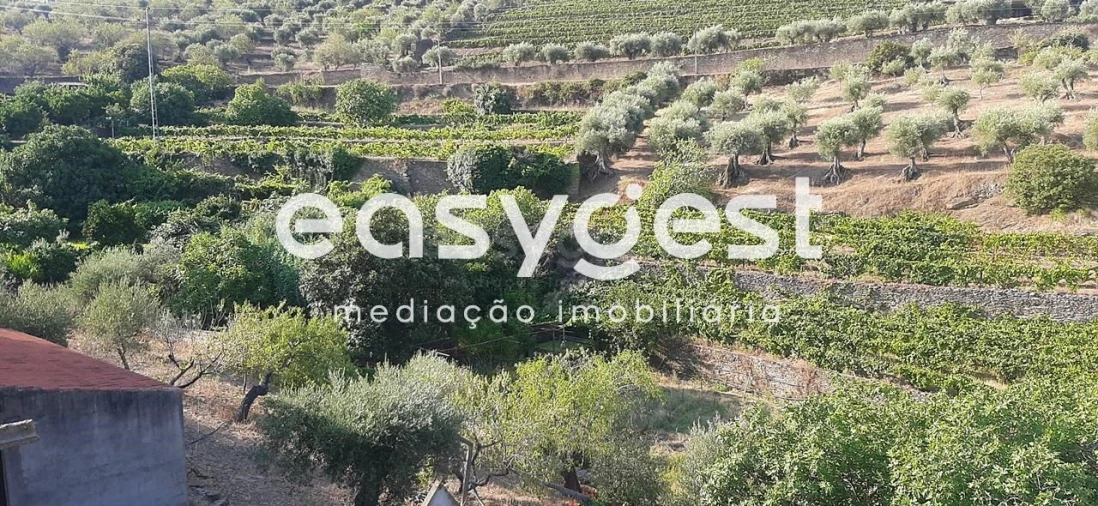 Quinta T2 para Venda em Torre de Moncorvo Foto 17