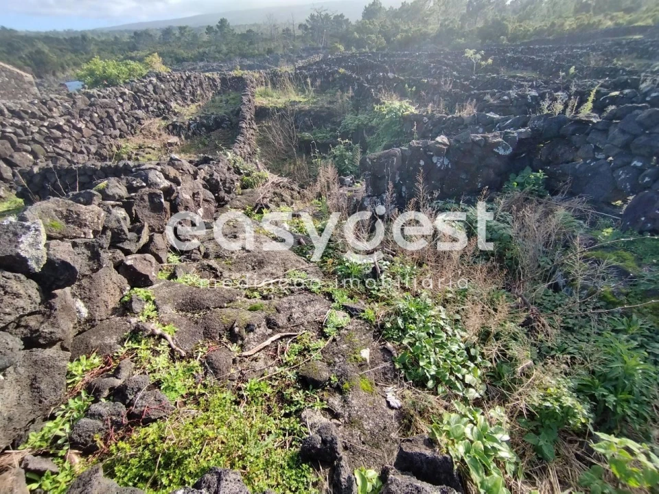 Terreno Agricola ou Rústico para Venda em Santa Luzia Foto 3