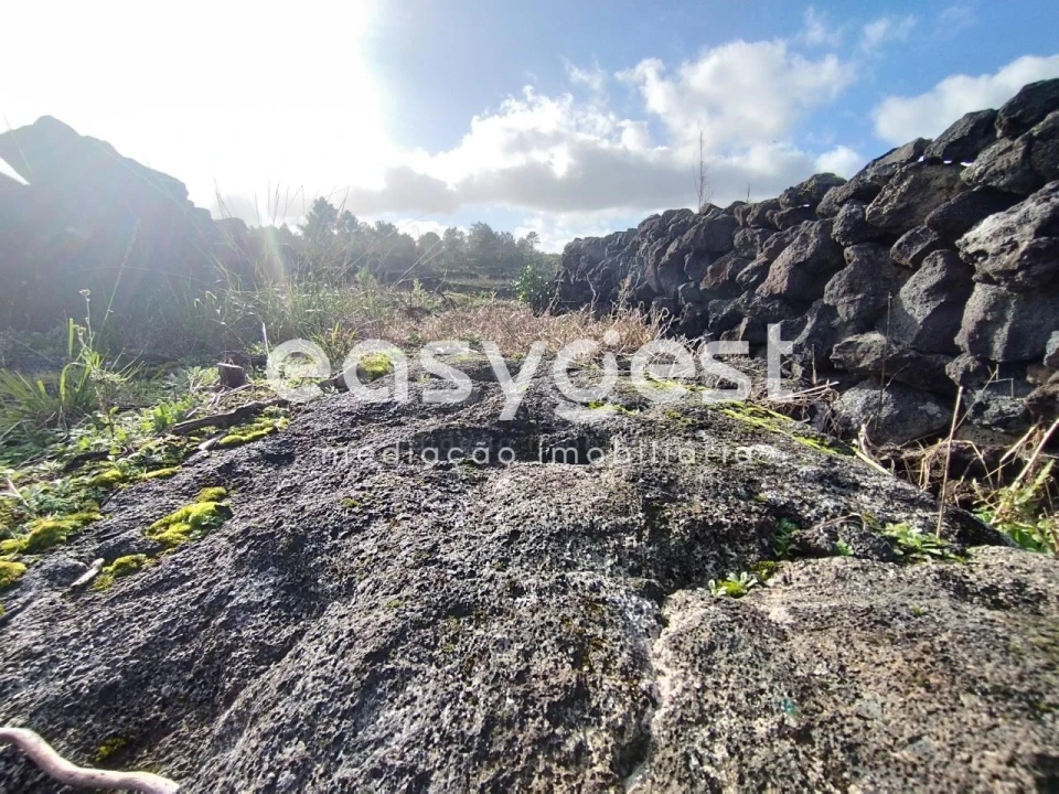 Terreno Agricola ou Rústico para Venda em Santa Luzia Foto 8