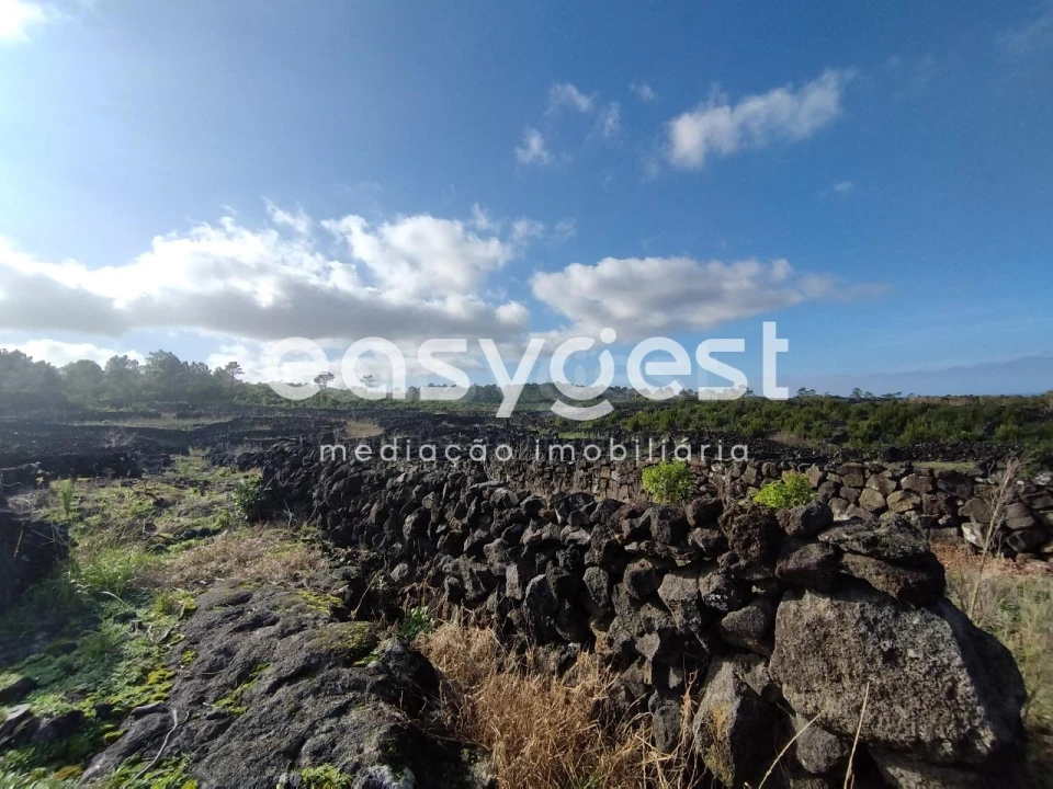Terreno Agricola ou Rústico para Venda em Santa Luzia Foto 9