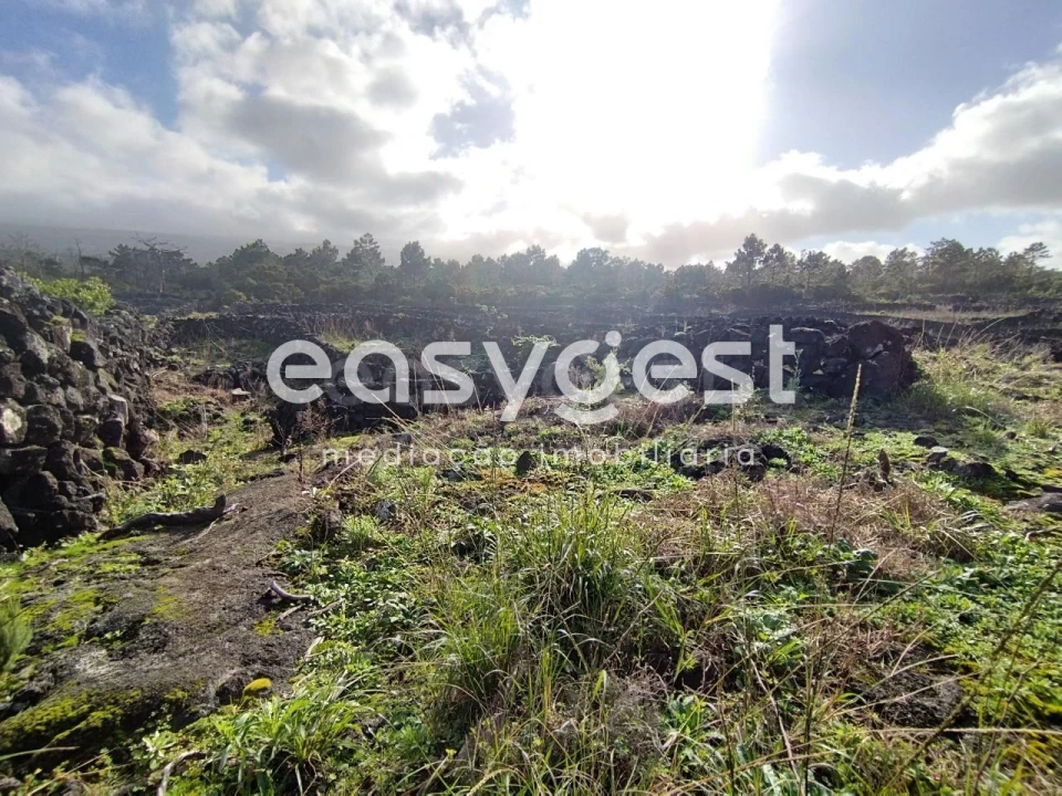 Terreno Agricola ou Rústico para Venda em Santa Luzia Foto 10