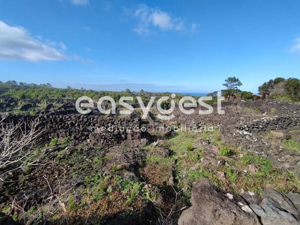 Terreno Agricola ou Rústico para Venda em Santa Luzia Foto 11