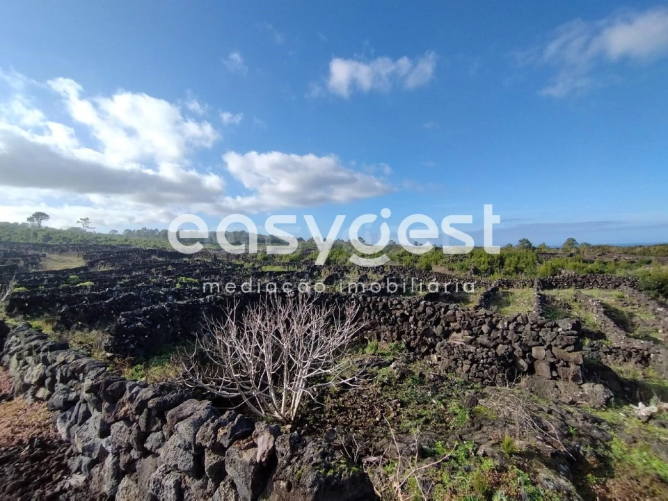 Terreno Agricola ou Rústico para Venda em Santa Luzia Foto 12