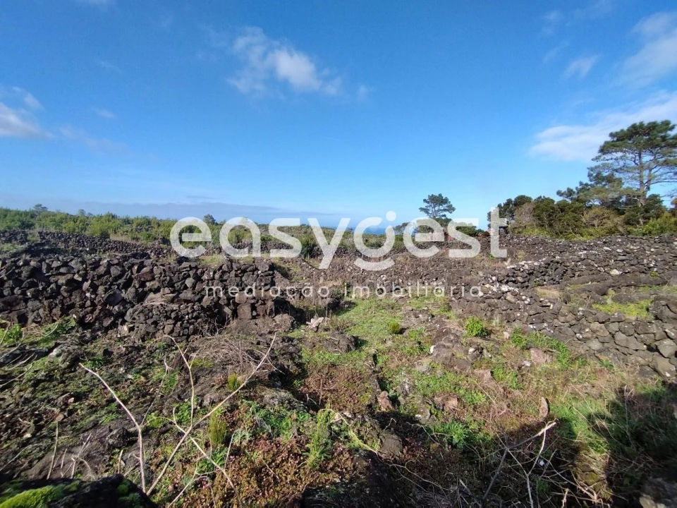 Terreno Agricola ou Rústico para Venda em Santa Luzia Foto 13