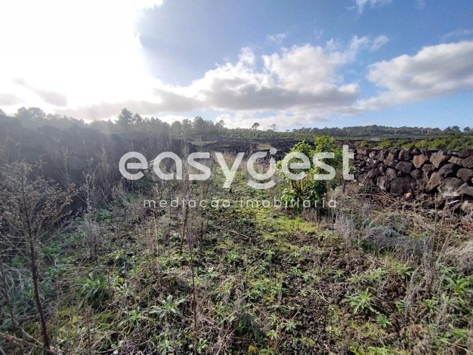 Terreno Agricola ou Rústico para Venda em Santa Luzia Foto 19