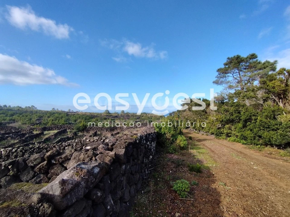 Terreno Agricola ou Rústico para Venda em Santa Luzia Foto 20
