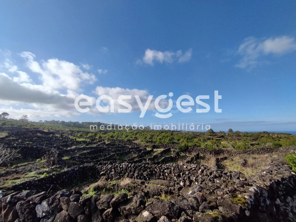 Terreno Agricola ou Rústico para Venda em Santa Luzia Foto 22
