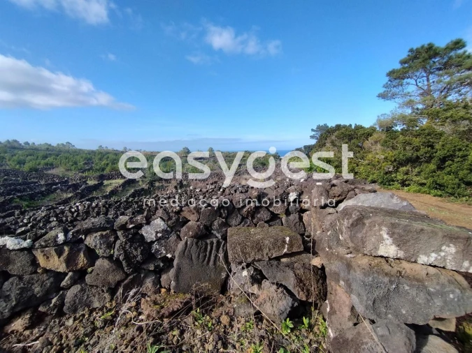 Terreno Agricola ou Rústico para Venda em Santa Luzia Foto 1