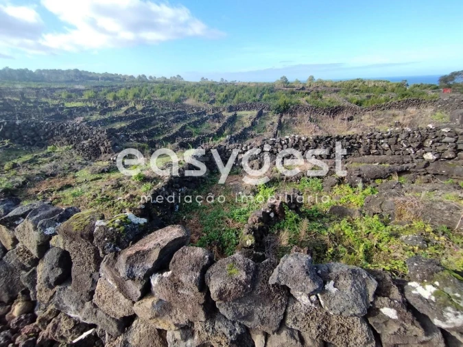 Terreno Agricola ou Rústico para Venda em Santa Luzia Foto 2