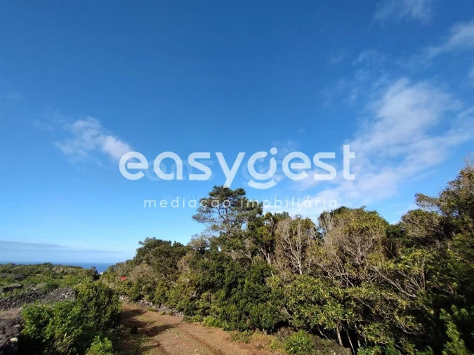 Terreno Agricola ou Rústico para Venda em Santa Luzia Foto 4
