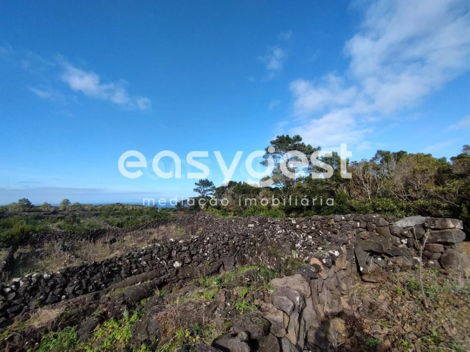 Terreno Agricola ou Rústico para Venda em Santa Luzia Foto 6