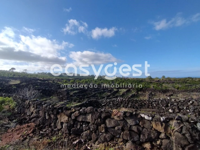Terreno Agricola ou Rústico para Venda em Santa Luzia Foto 7